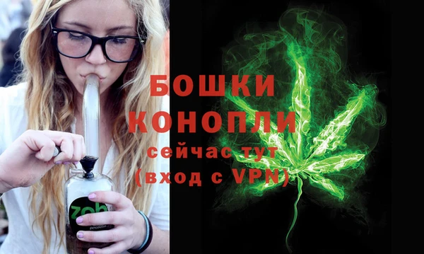 трава Беломорск