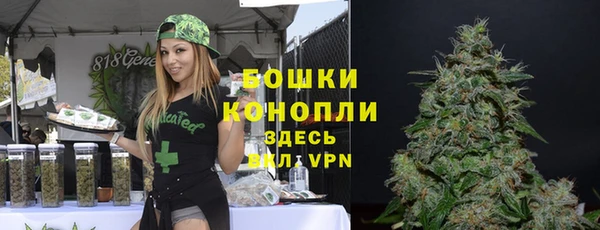 трава Беломорск