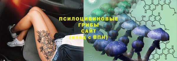 spice Белокуриха