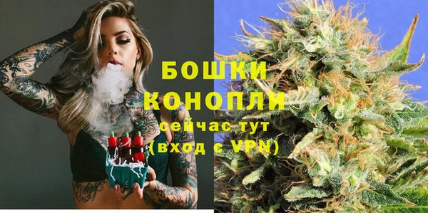 spice Белокуриха