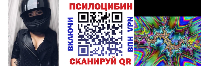 KRAKEN вход  сколько стоит  Жердевка  Галлюциногенные грибы мицелий 