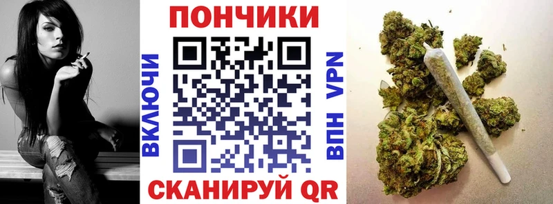 Бошки Шишки OG Kush  дарнет шоп  Жердевка 